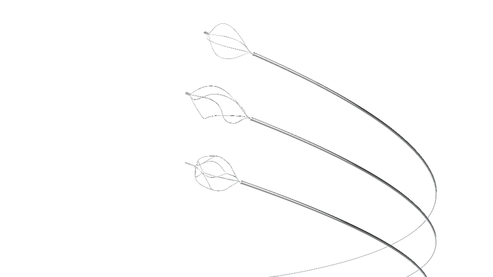 一次性使用内镜下取石网篮